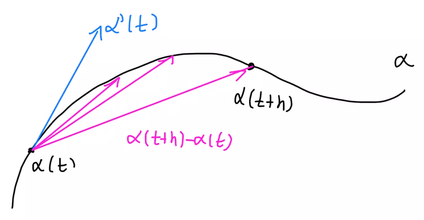 VectorTangente